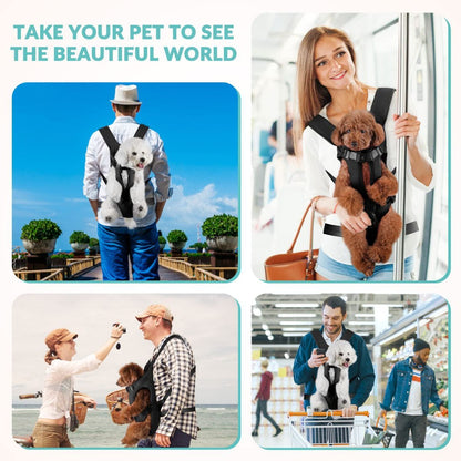 Black dog harness with attached storage bags for outdoor walks