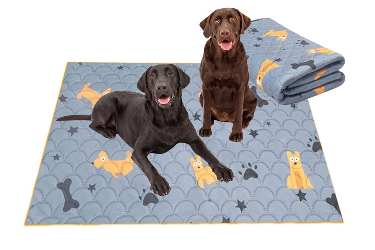 Two light grey washable dog training pee pads with dog pattern