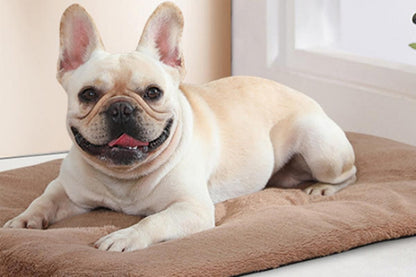 Khaki self-heating pet blanket set with two rectangular pet bed pads