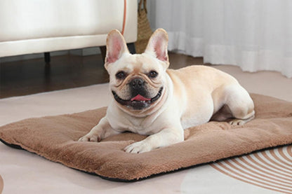 Khaki self-heating pet blanket set with two rectangular pet bed pads