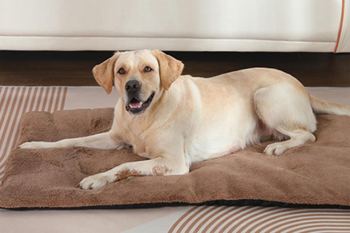 Khaki self-heating pet blanket set with two rectangular pet bed pads