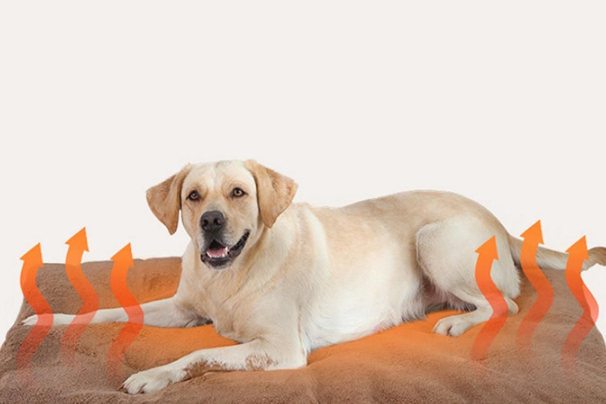 Khaki self-heating pet blanket set with two rectangular pet bed pads