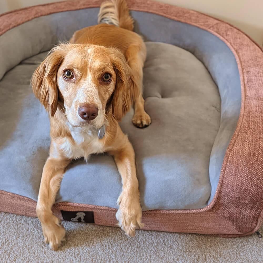 Pink orthopaedic pet sofa bed with bolstered edges and a removable cover