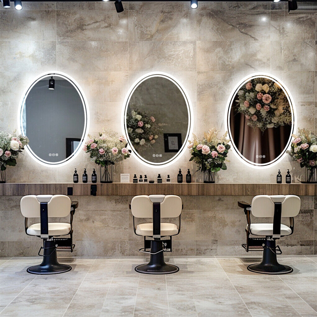 Oval LED bathroom mirror with touch control and lit frame