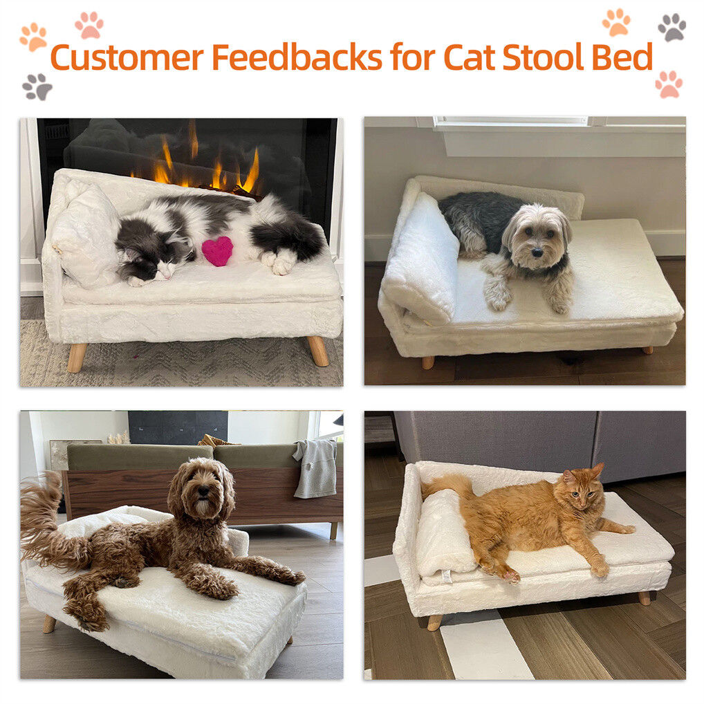 Raised pet sofa bed with plush cushion on solid timber legs