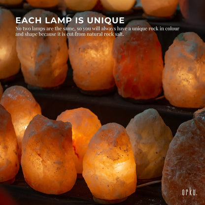 Himalayan pink salt lamp with wooden base, oil cup and plug switch