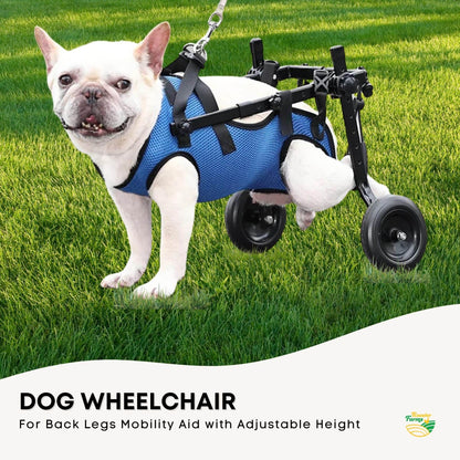 Blue small dog wheelchair harness with aluminium frame and support straps
