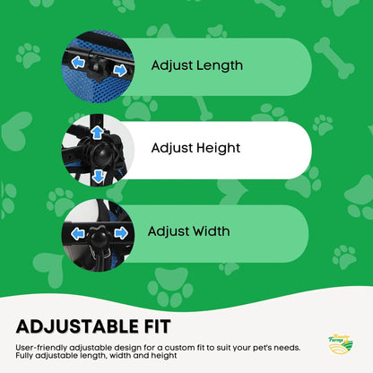 Blue small dog wheelchair harness with aluminium frame and support straps