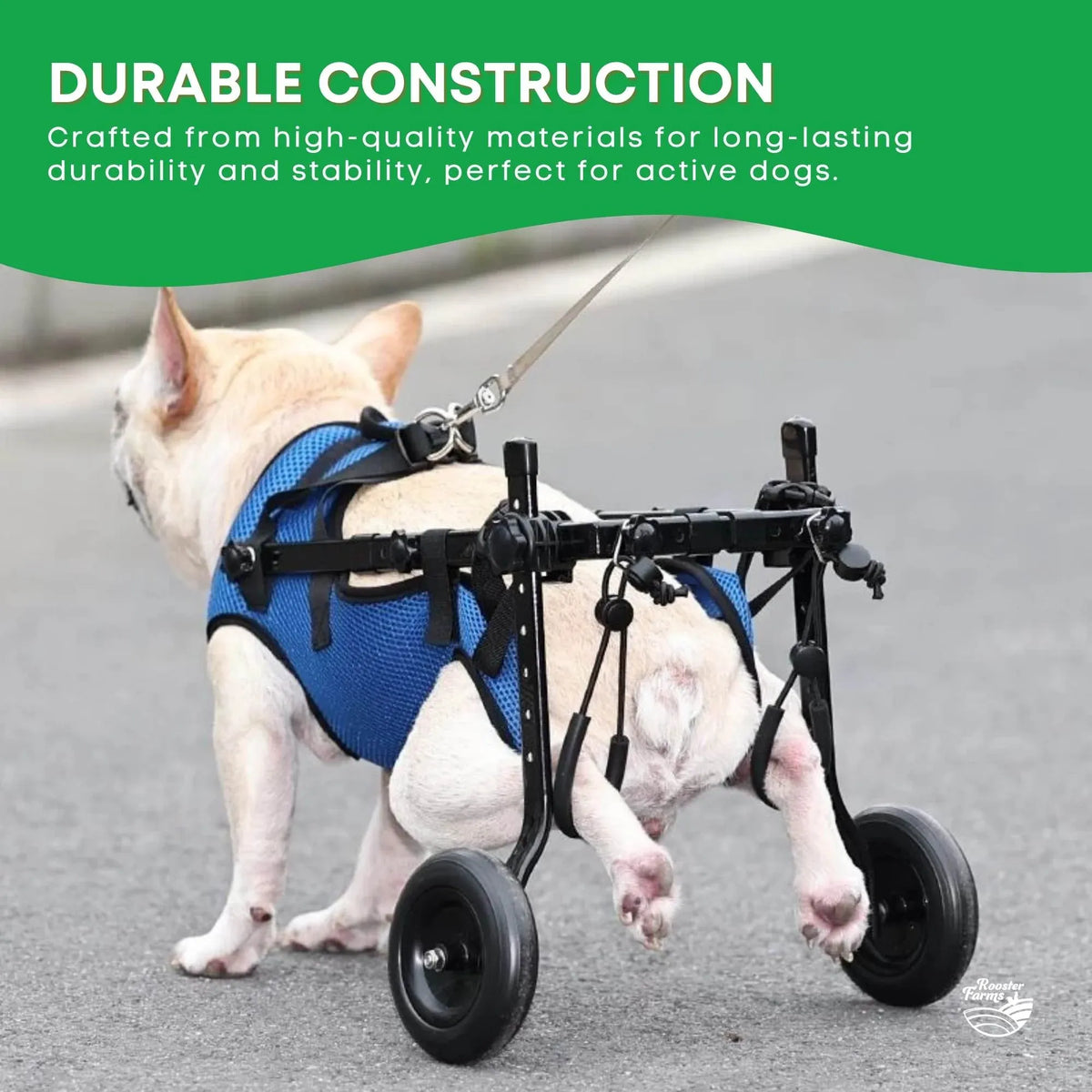 Blue small dog wheelchair harness with aluminium frame and support straps