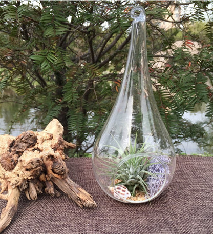 Clear glass teardrop tealight holders hanging at different heights
