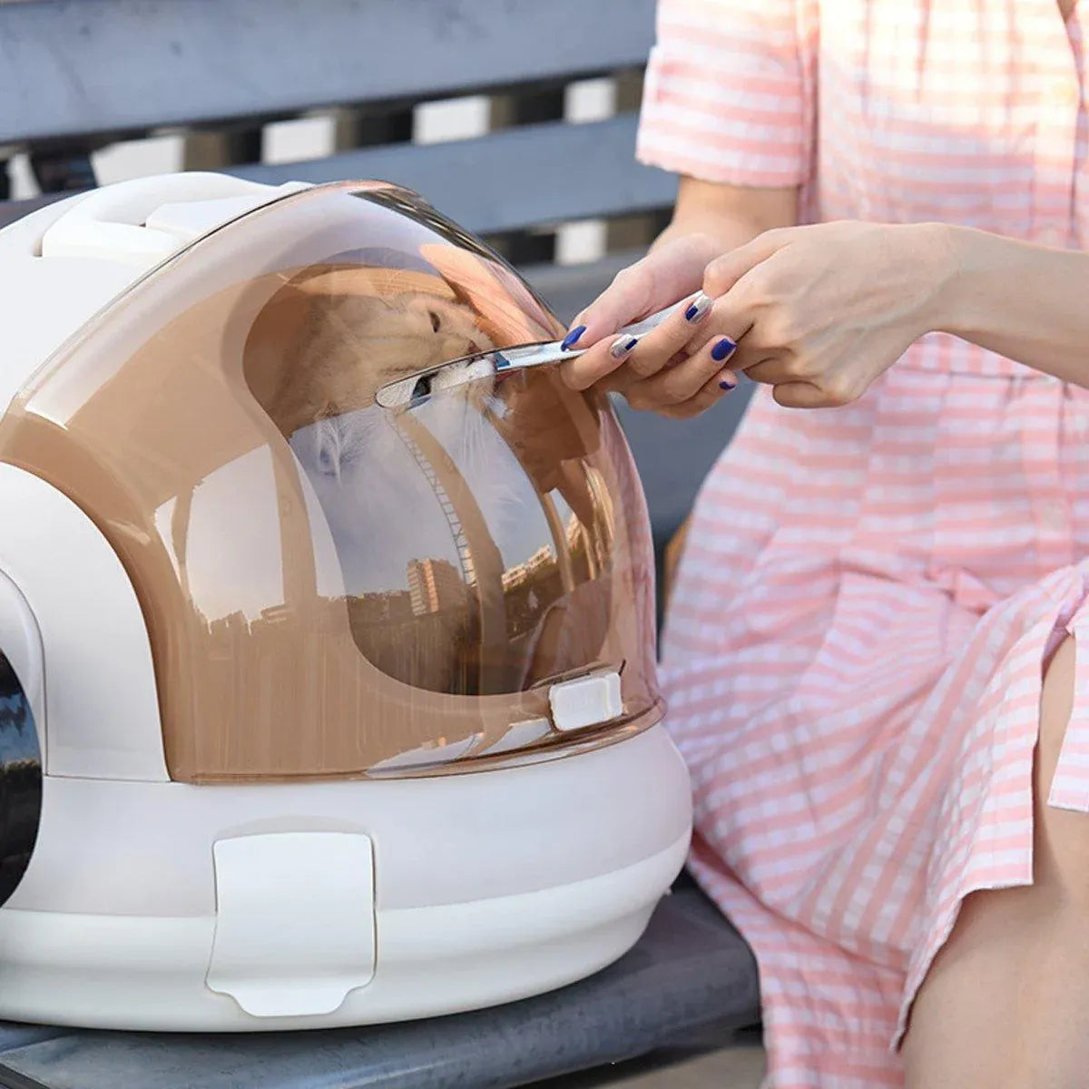 Grey space capsule cat carrier with a clear transparent dome