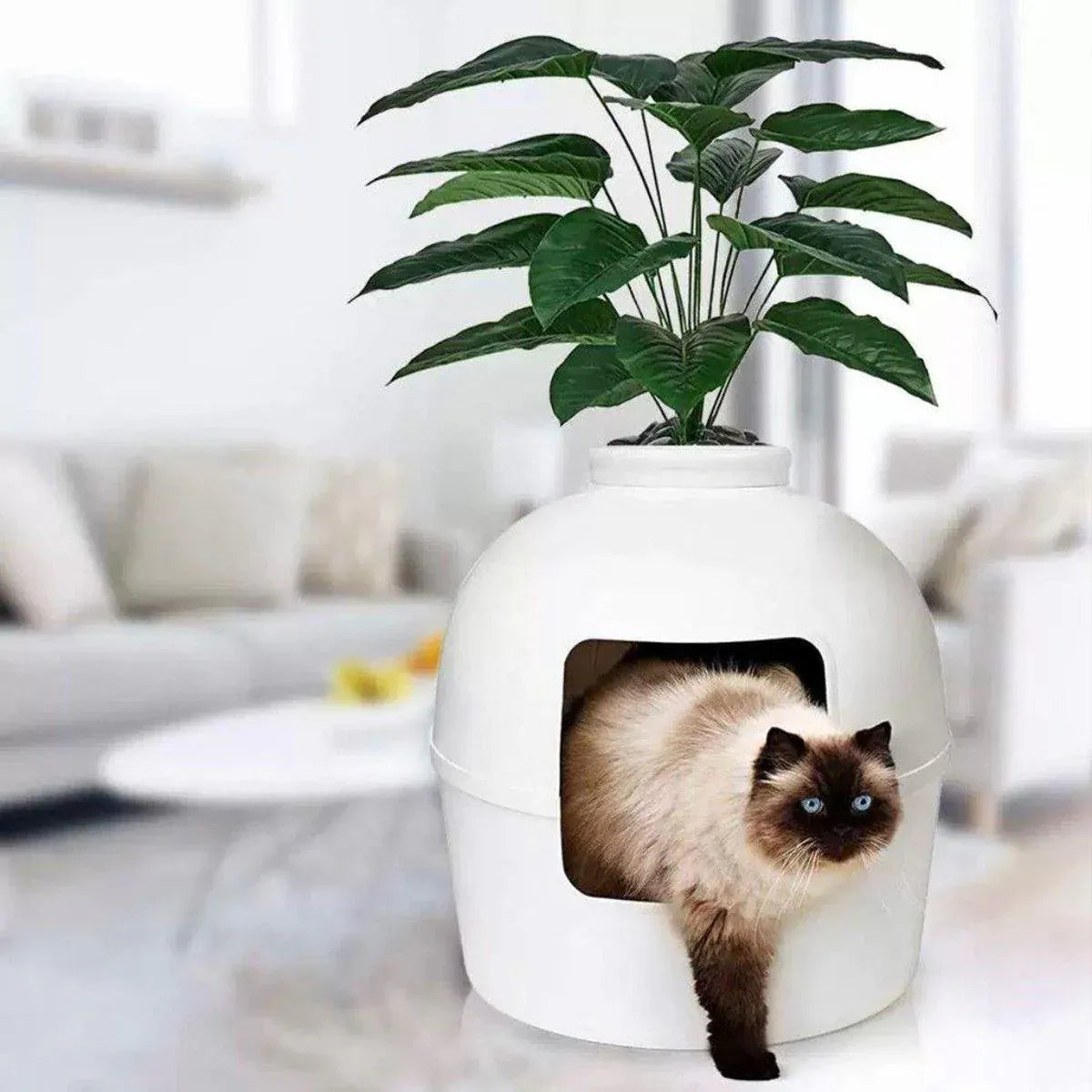 White plastic pet kennel with front opening and matching shovel