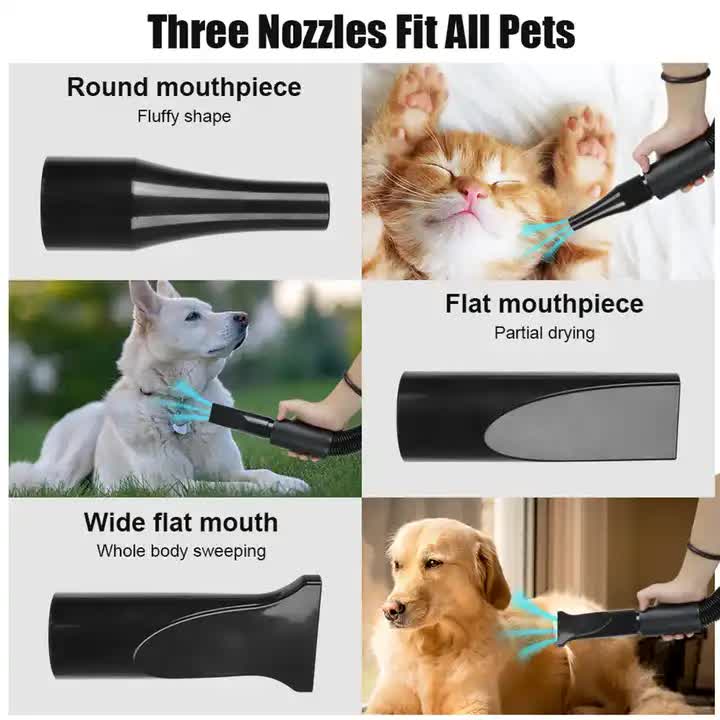 Pink pet hair dryer with comb nozzle attachment beside a groomed dog