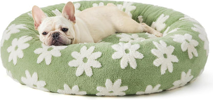 Green round donut pet bed with white daisy petals and raised rim