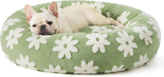Green round donut pet bed with white daisy petals and raised rim