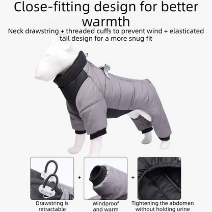 Yellow winter dog travel set with jacket, 3m retractable leash and foldable pet bed