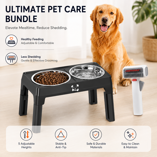 Black elevated double dog bowl stand with stainless bowls and a grooming comb